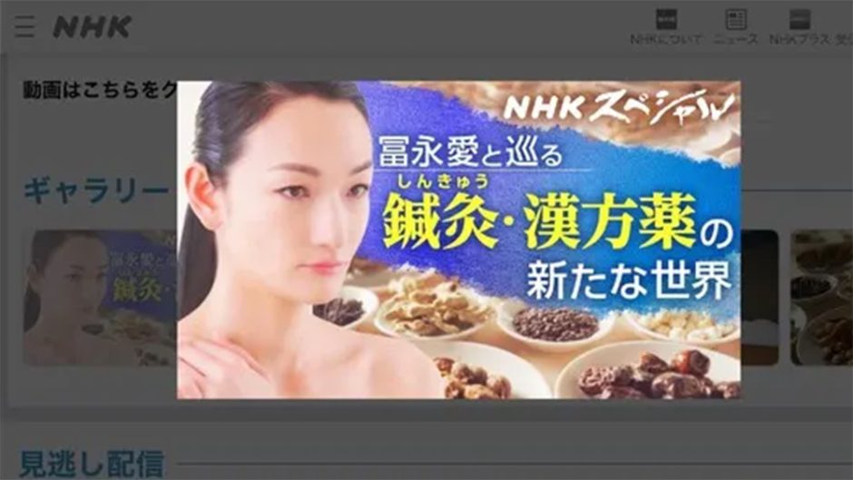 NHKスペシャル東洋医学を”科学”する～鍼灸・漢方薬の新たな世界～