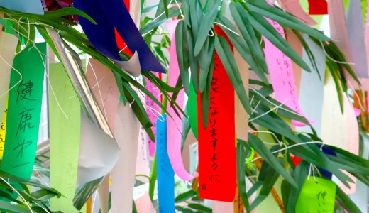 7月休診のお知らせ