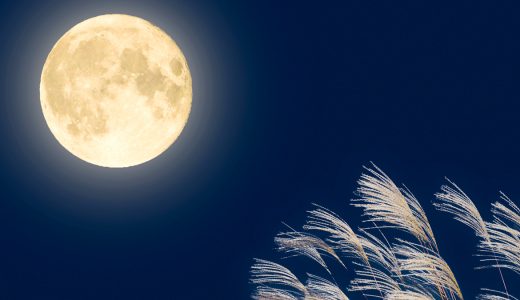 9月休診のお知らせ