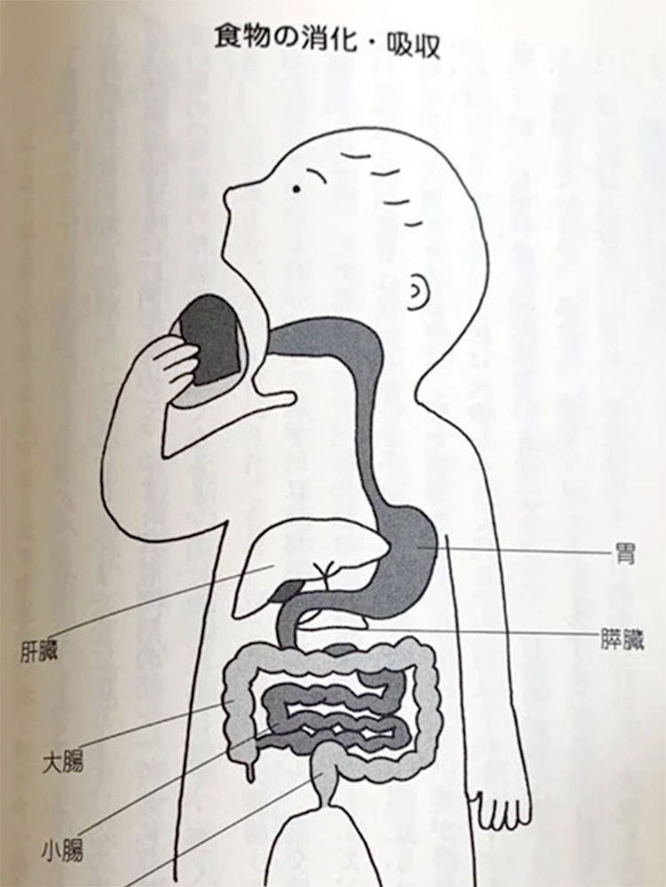 子供の便秘の対処法