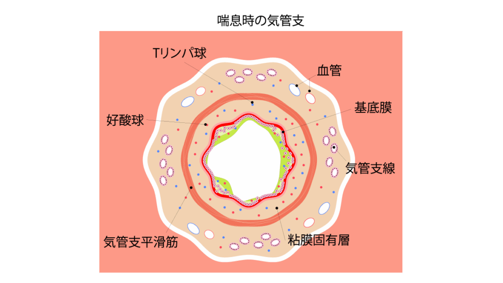 名古屋市咳喘息外来